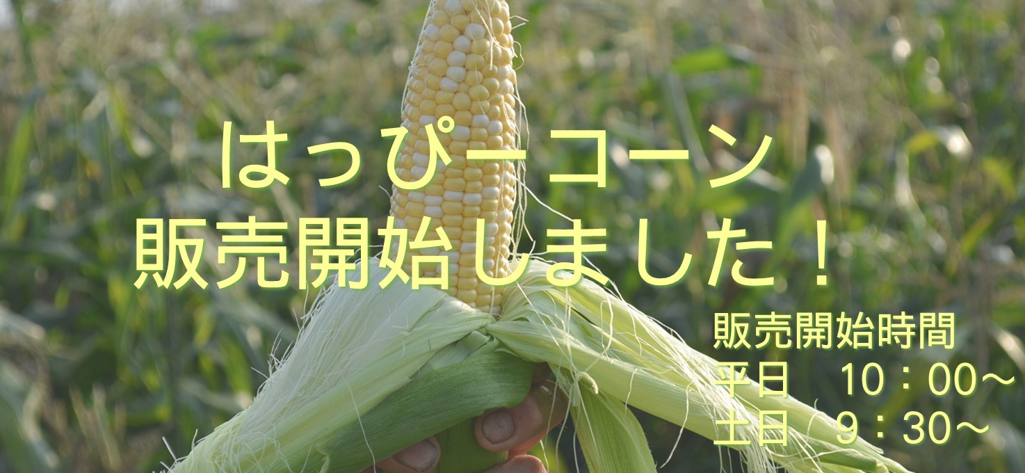 はっぴーコーン販売開始しました！