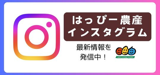 インスタグラム